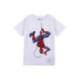 CAMISETA CORTA SINGLE JERSEY SPIDERMAN