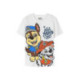 CAMISETA CORTA SINGLE JERSEY PAW PATROL