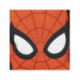 MOCHILA INFANTIL BANDOLERA SPIDERMAN