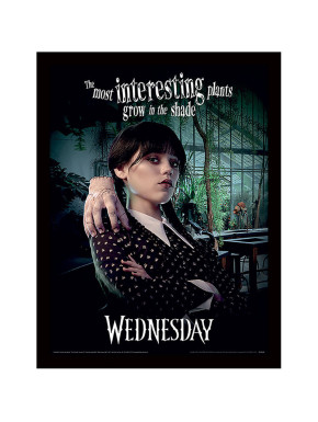 Poster Enmarcado The Most Interesting Wednesday