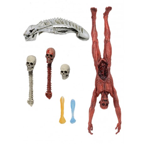 Pack di trofei deluxe Predatore Neca