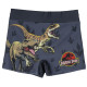 BOXER BAÑO JURASSIC PARK