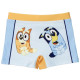 BOXER BAÑO BLUEY