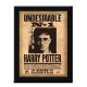 Replica Placa Undesirable N°1 Harry Potter