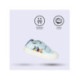 ZAPATILLA LONETA SUELA TPR BLUEY