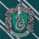 Corbata infantil Slytherin Harry Potter