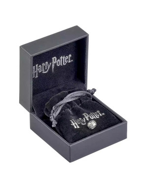 Charm Sort Obliviate Harry Potter