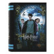 Caja de regalo mini maleta Hogwarts Harry Potter