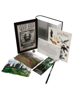 Caja de regalo mini maleta Hogwarts Harry Potter