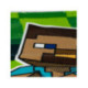 TOWEL POLYESTER MINECRAFT