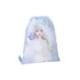 POCKET SCHOOL FROZEN