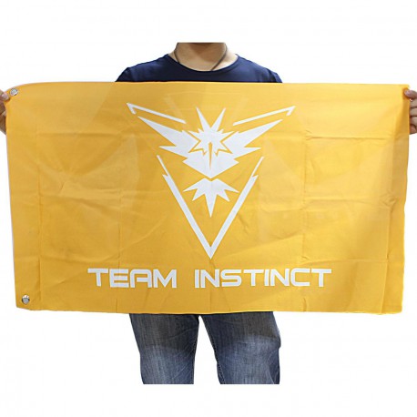 Flag Team Instinct Pokemon