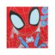 PORTAMERIENDA TÉRMICO SPIDEY