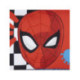 ESTUCHE PORTATODO 3 COMPARTIMENTOS SPIDERMAN