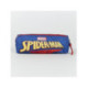 PENCIL CASE RECTANGULAR SPIDERMAN