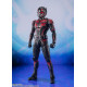 Ant-Man And The Wasp: Quantumania Figura S.H. Figuarts Ant-Man 15 Cm