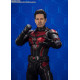 Ant-Man And The Wasp: Quantumania Figura S.H. Figuarts Ant-Man 15 Cm