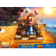 Crash Team Racing Nitro-Fueled Crash in Kart