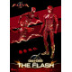 The Flash Figura Dynamic 8Ction Heroes 1/9 The Flash 24 Cm