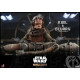 Pack De 2 Figuras 1/6 Kuiil & Blurrg 37 Cm Star Wars The Mandalorian