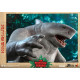 Figura Movie Masterpiece 1/6 King Shark 35 Cm Escuadrón Suicida