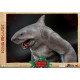 Figura Movie Masterpiece 1/6 King Shark 35 Cm Escuadrón Suicida