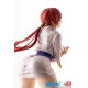 Figura Snk Heroines Bishoujo Pvc 1/7 Tag Team Frenzy Shermie 20 Cm