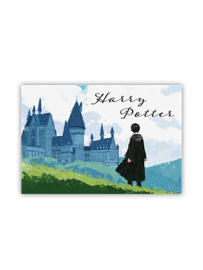 HARRY POTTER - Standard Magnet - Harry & Hogwarts