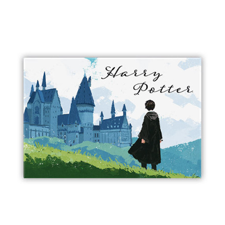 HARRY POTTER - Standard Magnet - Harry & Hogwarts