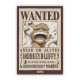 ONE PIECE - Standard Magnet - Wanted Luffy