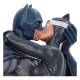 Busto Batman & Catwoman 30 Cm Dc Comics