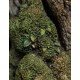 Figura 1/6 Leaflock The Ent 76 Cm El Señor De Los Anillos