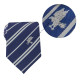 Cravate et épingle Harry Potter Ravenclaw