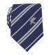 Set Tie and Pin Harry Potter Ravenclaw