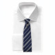 Set Tie and Pin Harry Potter Ravenclaw