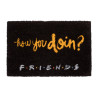 Felpudo Friends - How You Doin? | Licencia Oficial Warner Bros