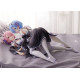 Figura Re:Zero Starting Life In Another World 1/7 Ram & Rem 9 Cm