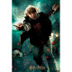 Puzzle lenticular Harry Potter Ron Weasley Batalla 300 piezas