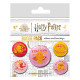 Set de chapas (5 unidades) Harry Potter (Witty Witchcraft) Medidas: 1 X 3,8 CM/ 4 x 2,5cm