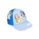 GORRA VISERA CURVA BLUEY