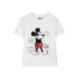 CAMISETA CORTA SINGLE JERSEY MICKEY