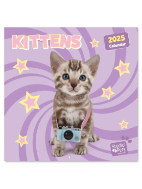 Calendario 2025 gatitos