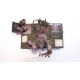 The Walking Dead. The pop-up book.