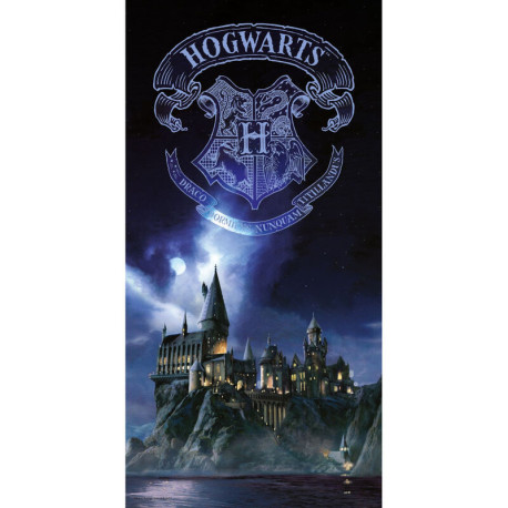 Poster de Vidrio Harry Potter