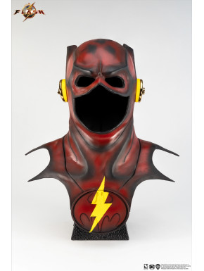 The Flash Young Barry 1:1 Scale Cowl Replica