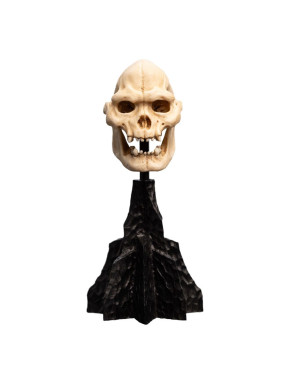 El Señor de los Anillos Estatua Skull of Lurtz 14 cm