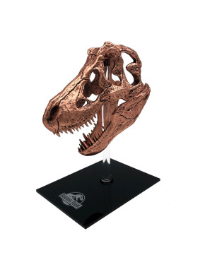 Réplica T-Rex Skull 10 cm Jurassic Park