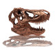 Réplica T-Rex Skull 10 cm Jurassic Park