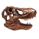 Réplica T-Rex Skull 10 cm Jurassic Park