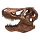 Réplica T-Rex Skull 10 cm Jurassic Park